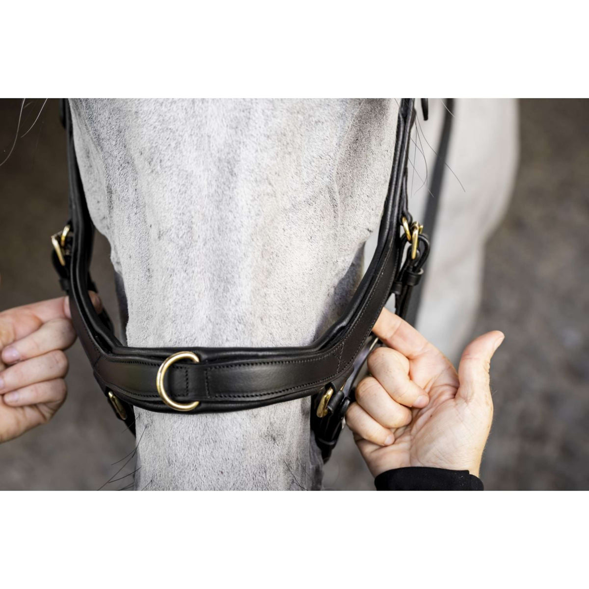 Horseware Micklem Multi Bridle Zwart