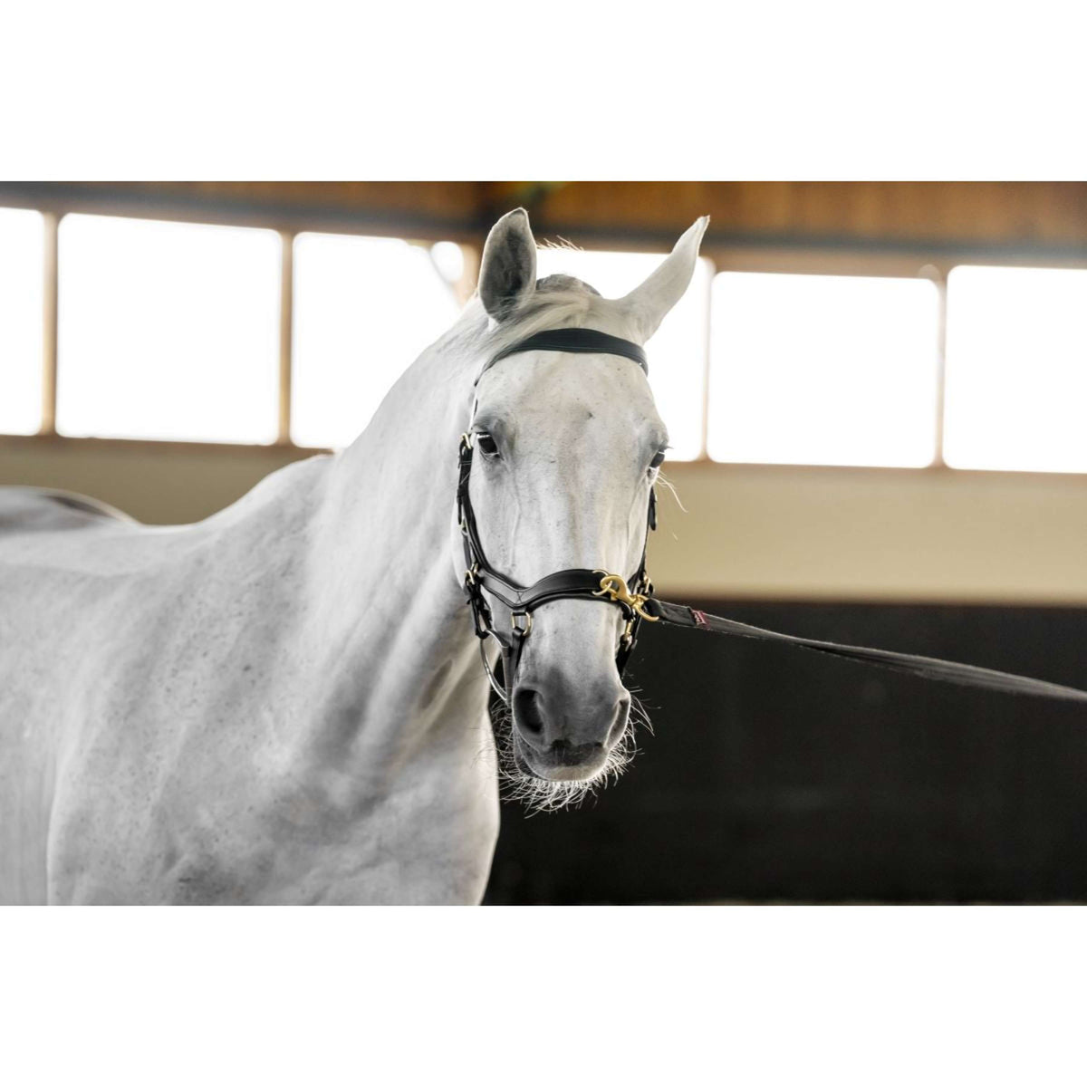 Horseware Micklem Multi Bridle Zwart