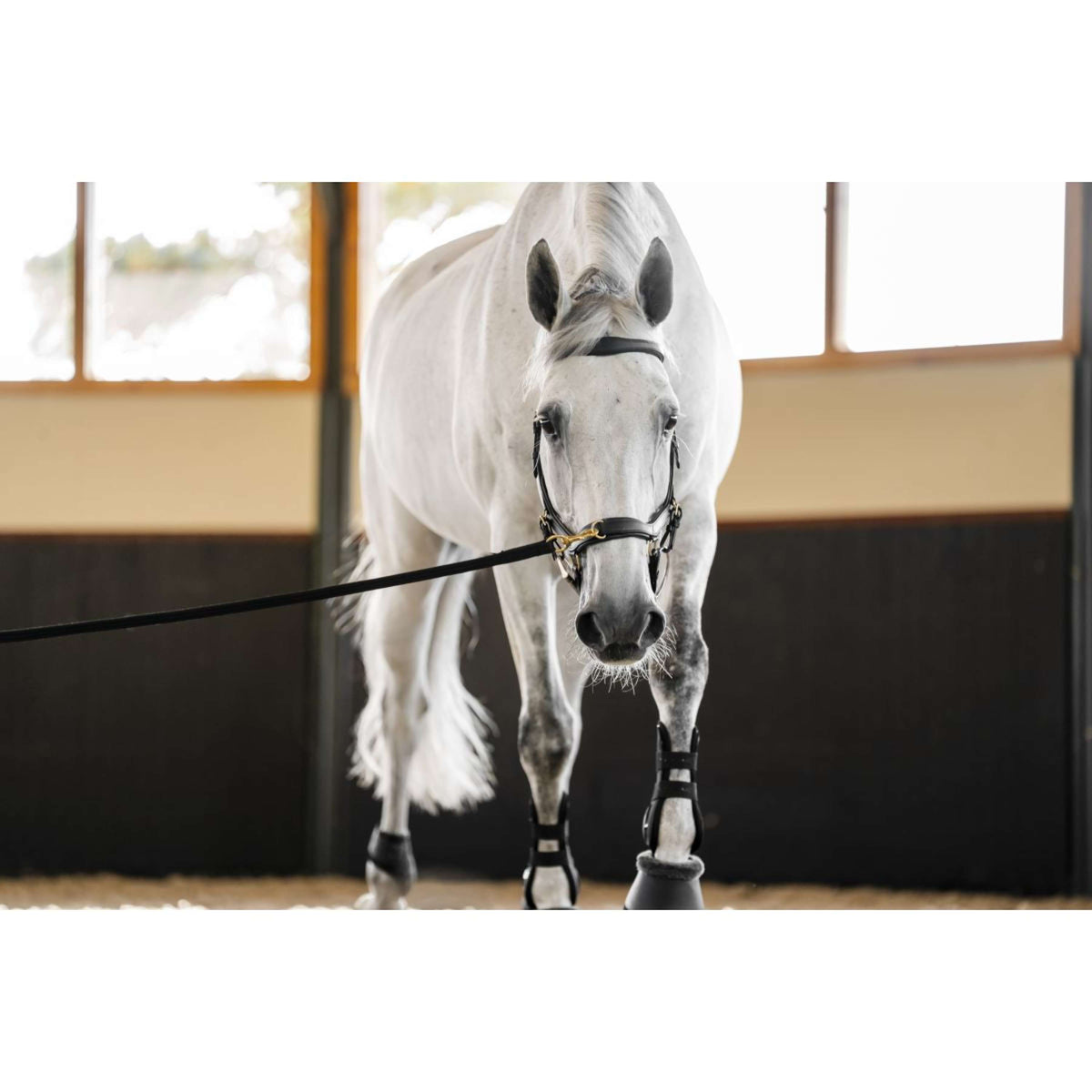 Horseware Micklem Multi Bridle Zwart