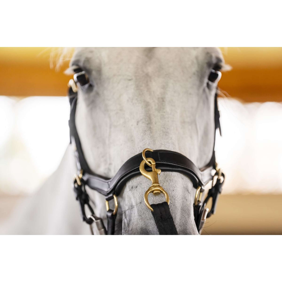 Horseware Micklem Multi Bridle Zwart