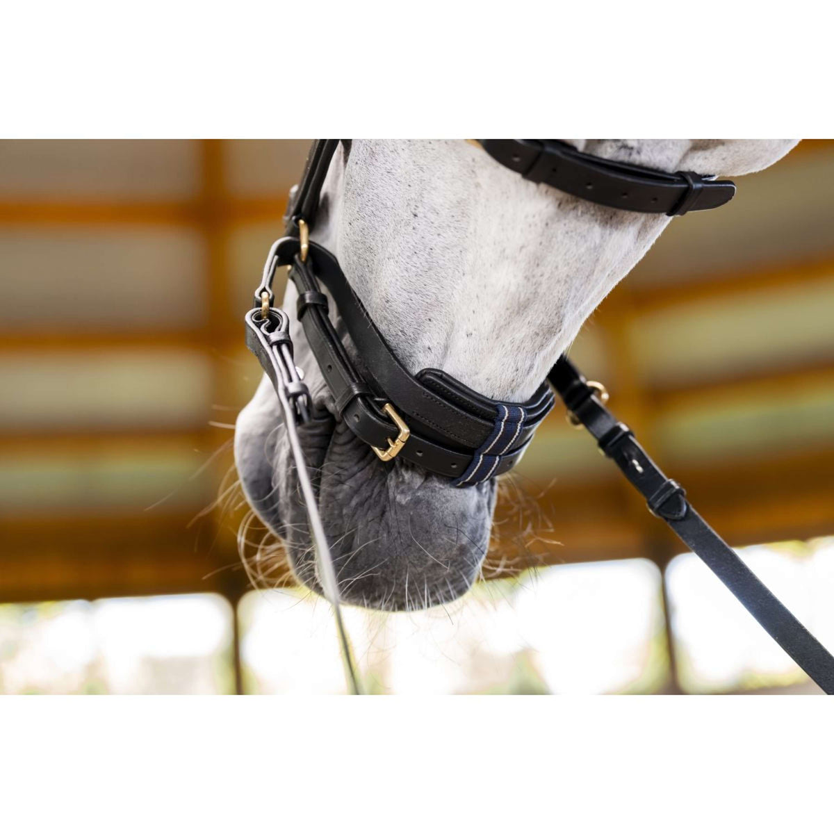 Horseware Micklem Multi Bridle Zwart