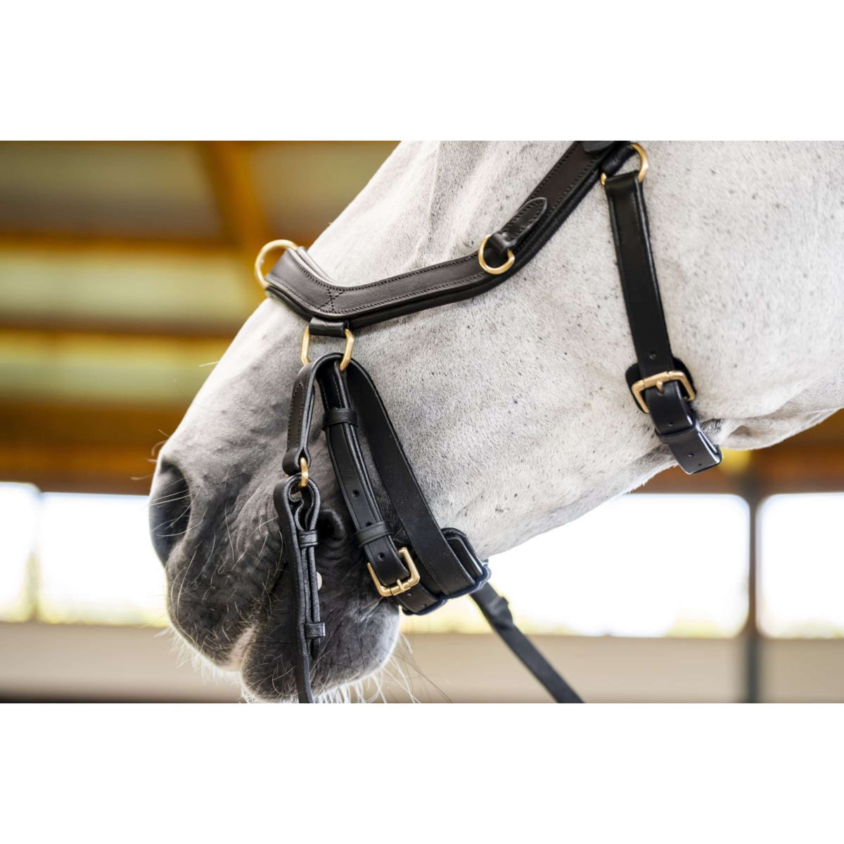 Horseware Micklem Multi Bridle Zwart