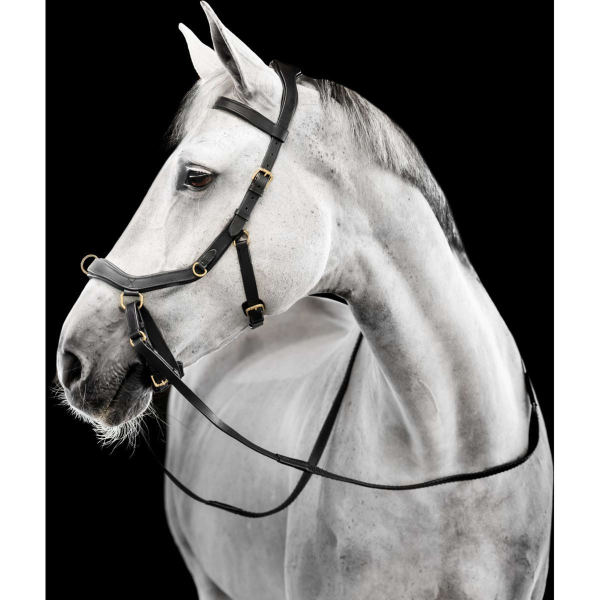 Horseware Micklem Multi Bridle Zwart