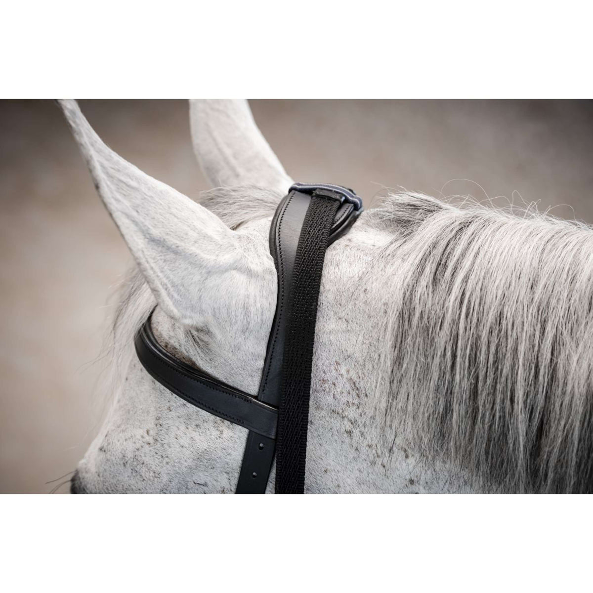 Horseware Micklem Multi Bridle Zwart