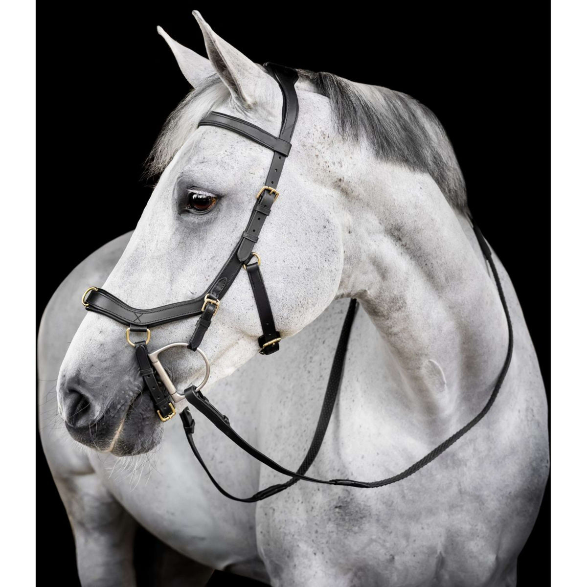 Horseware Micklem Multi Bridle Zwart