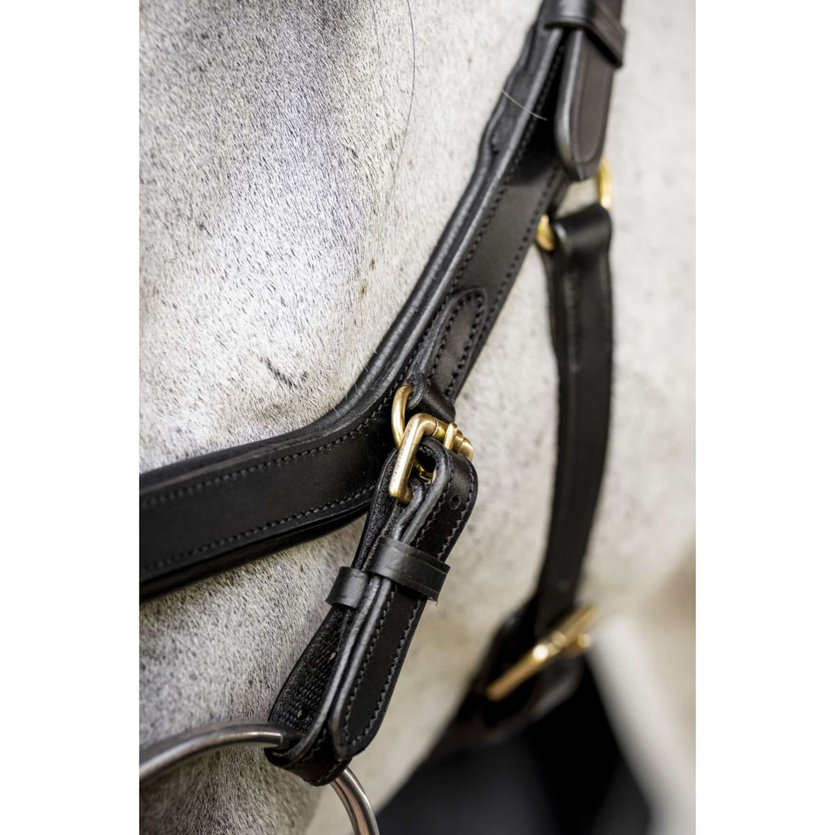 Horseware Micklem Multi Bridle Zwart