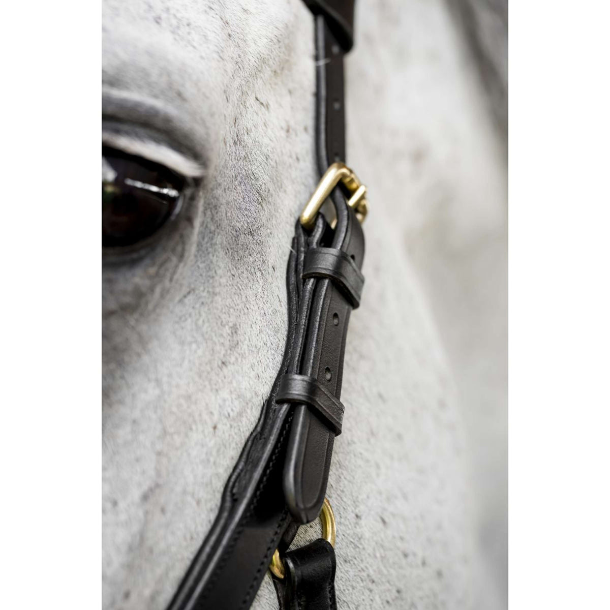 Horseware Micklem Multi Bridle Zwart