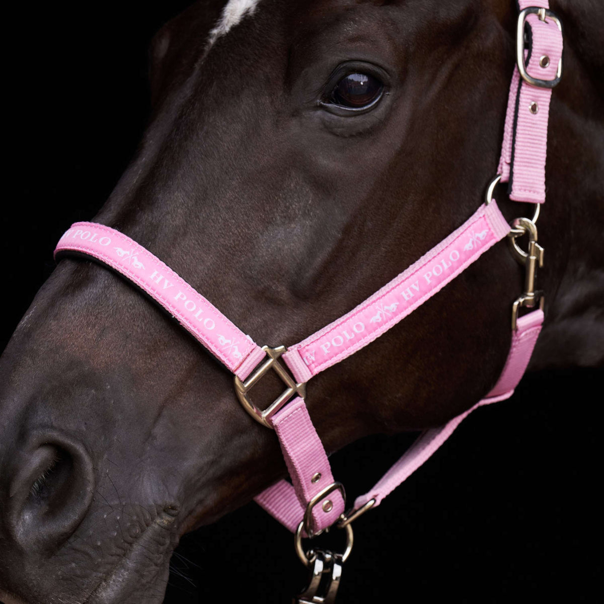 HV Polo Halster HVPNena Pretty Pink