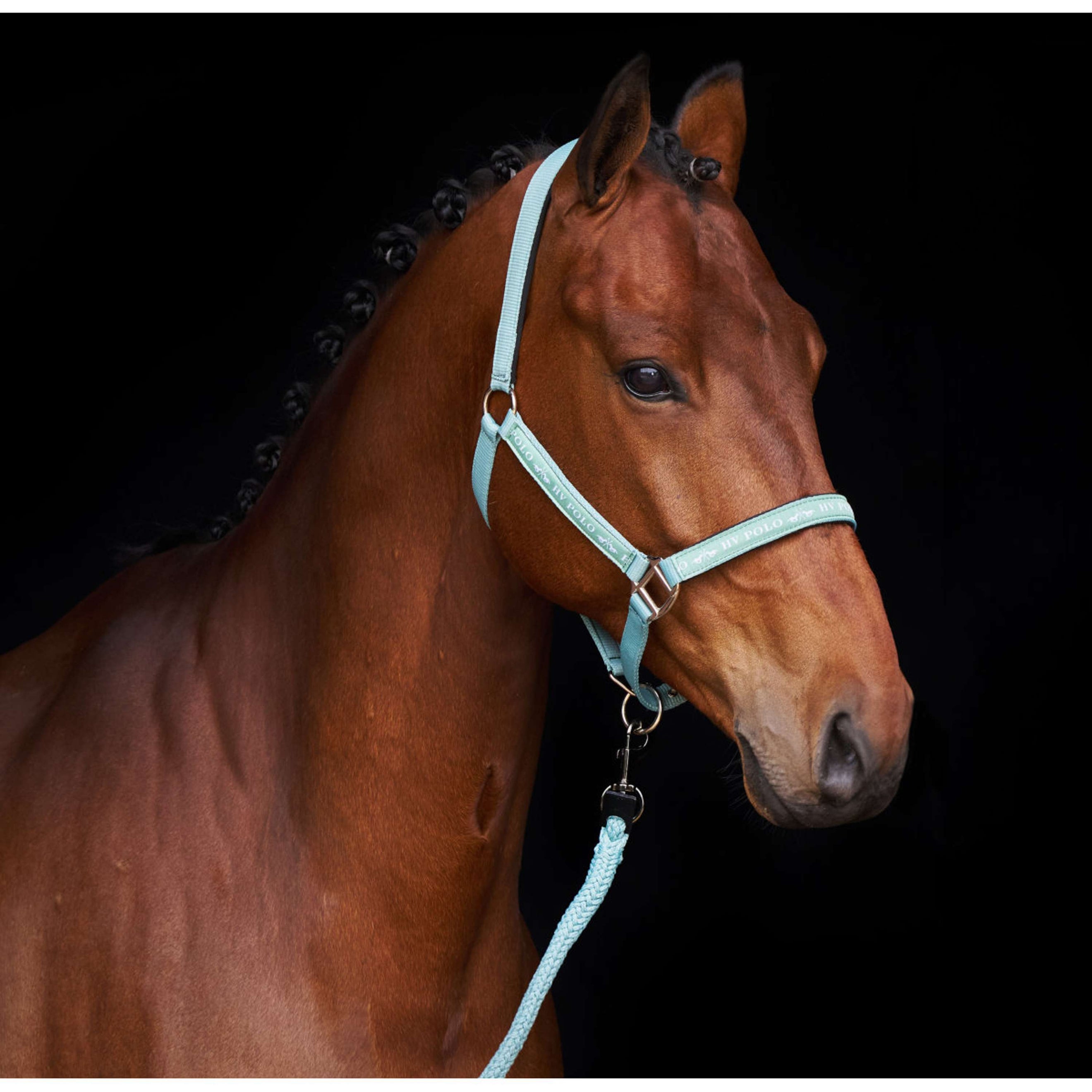 HV Polo Halster HVPNena Aqua Sky