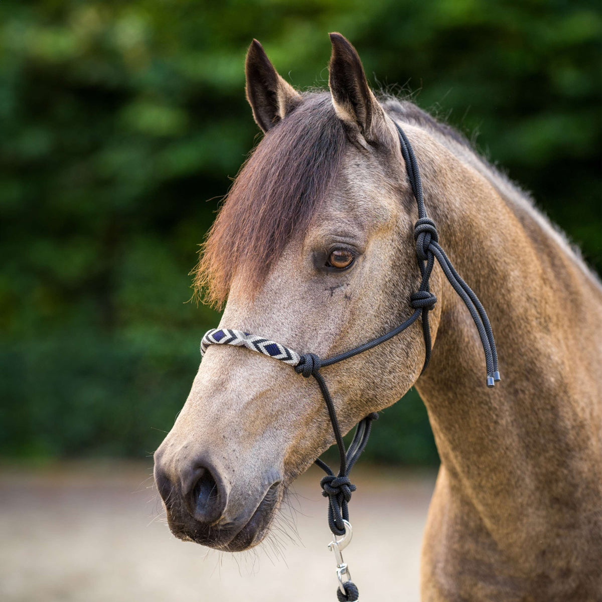 HV Polo Touwhalster HVPLamu Zwart