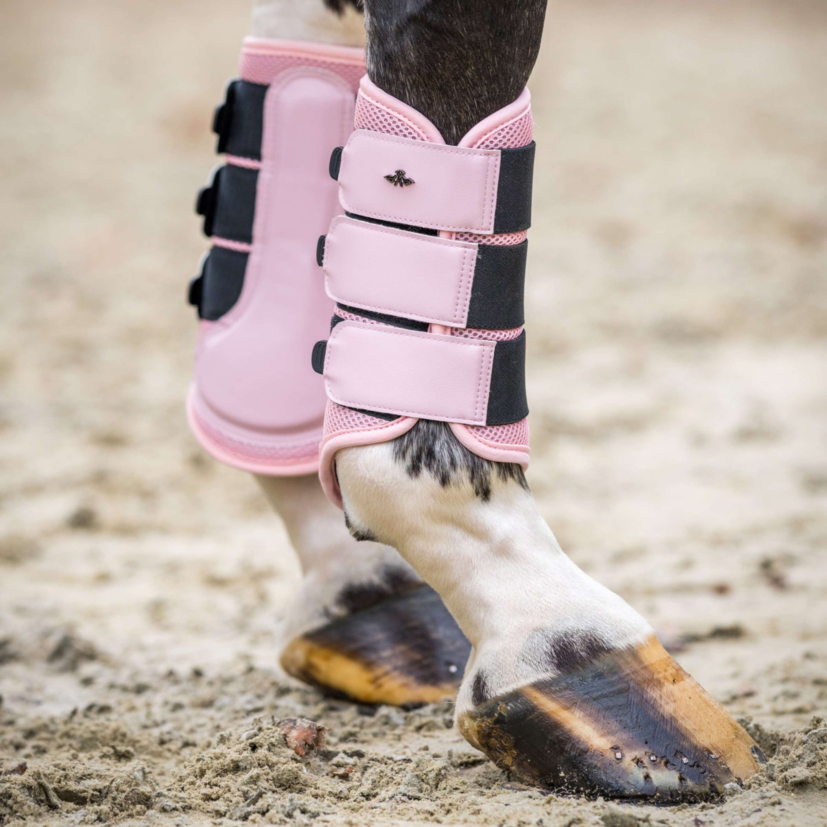 HV Polo Dressage Boots HVPAir Flow Pretty Pink HV Polo Dressage Boots HVPAir Flow Pretty Pink