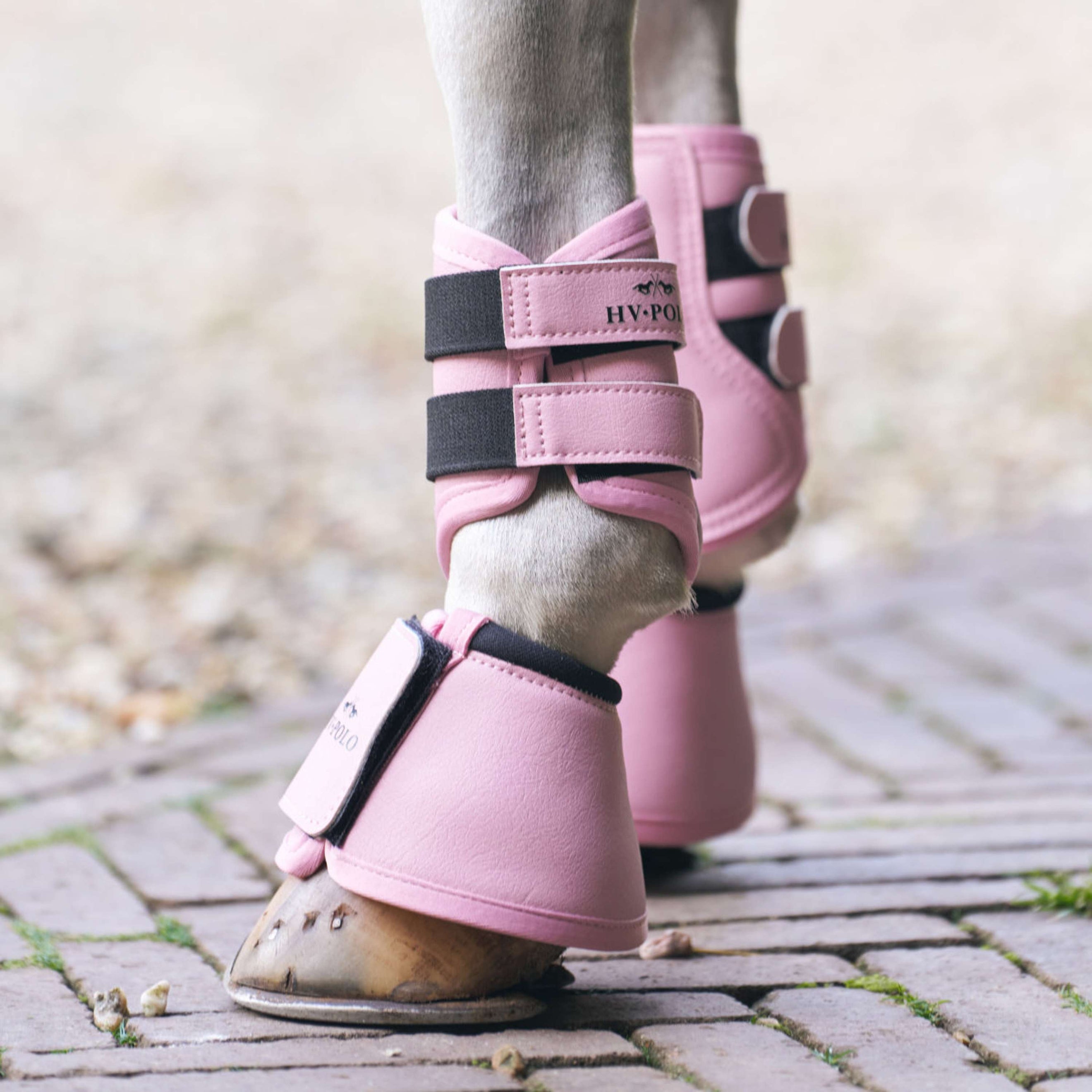 HV Polo Dressage Boots HVPSacha Pretty Pink HV Polo Dressage Boots HVPSacha Pretty Pink