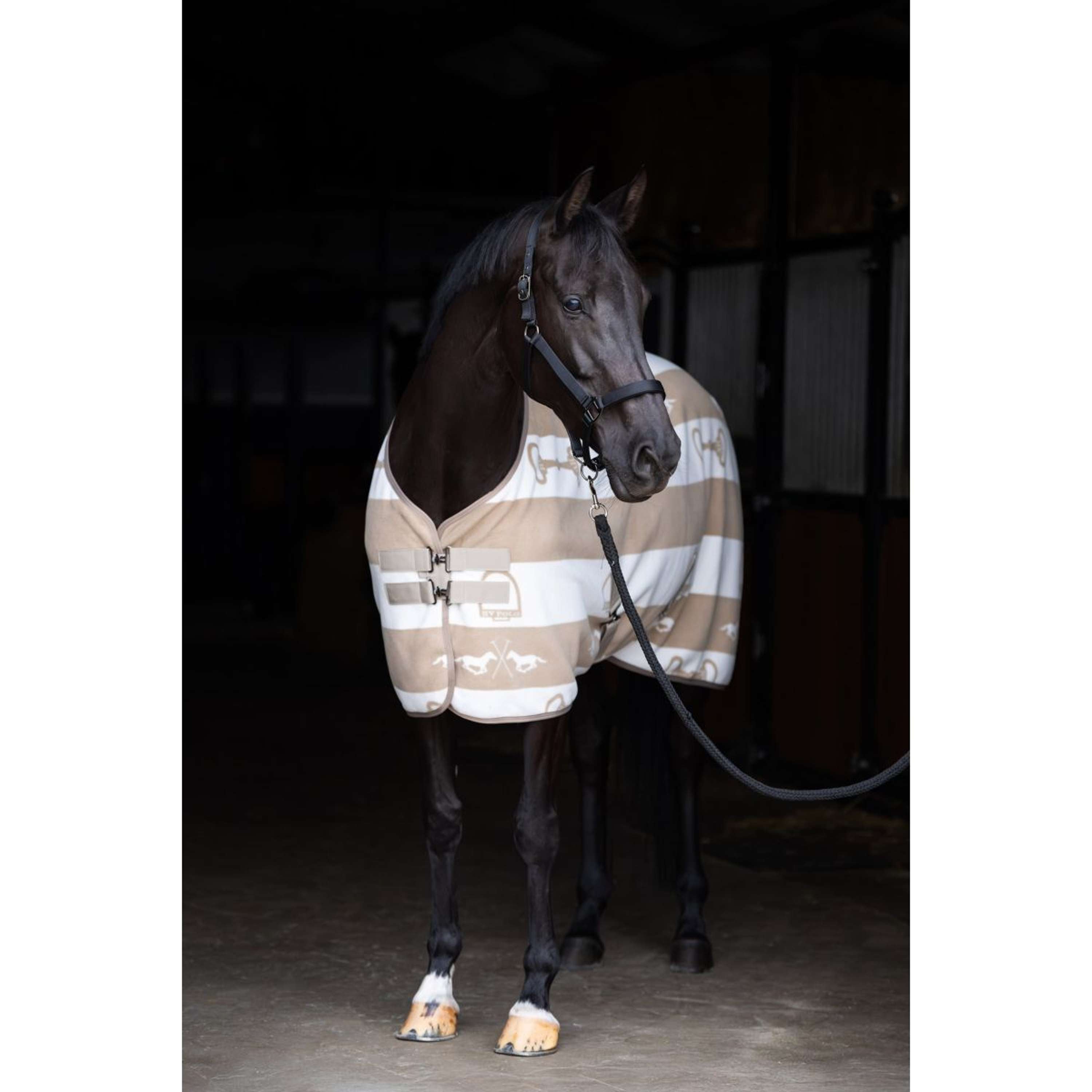 HV Polo Fleecedeken HVPGwenny Chalk