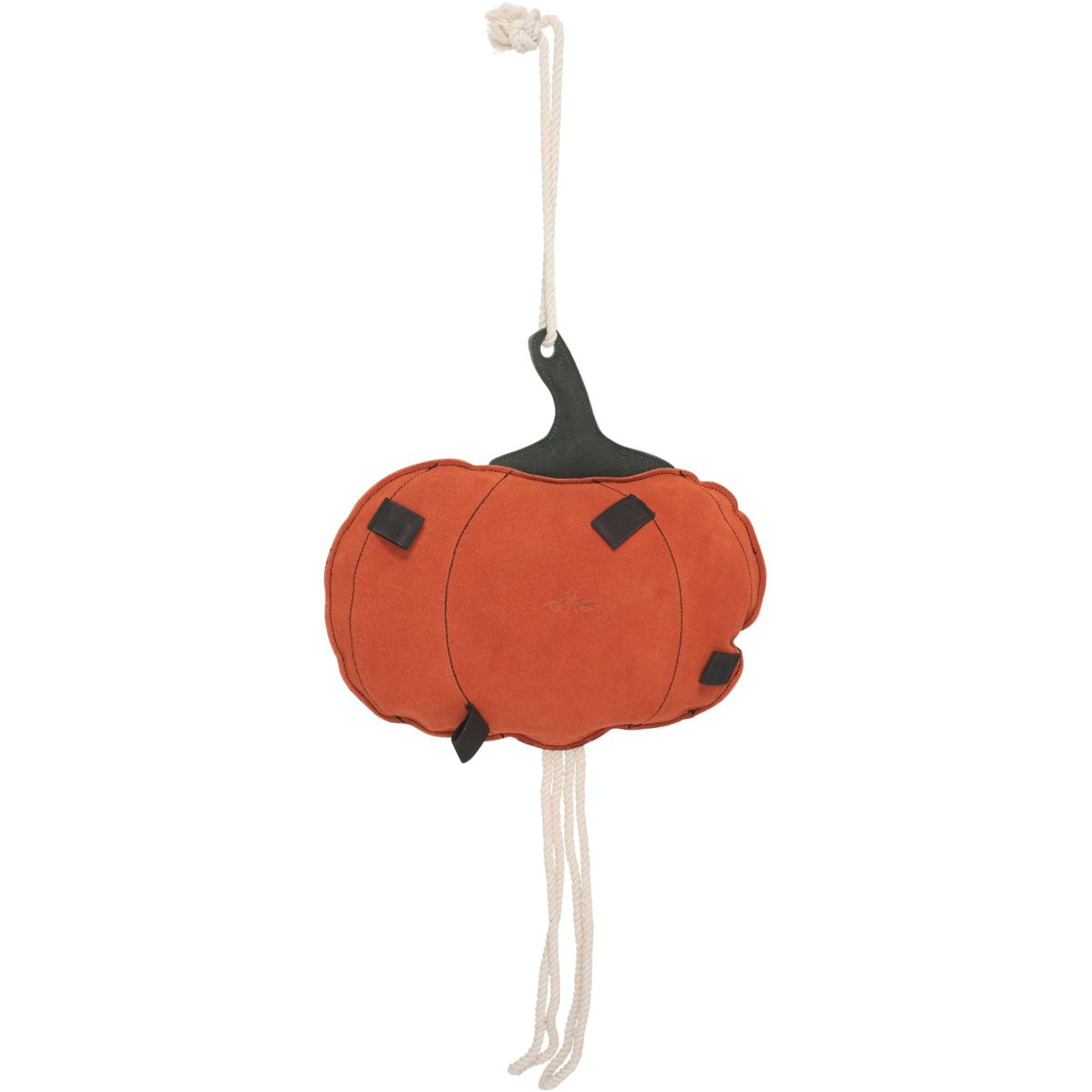 HV Polo Stable Buddy HVPPumpkin Pompoen