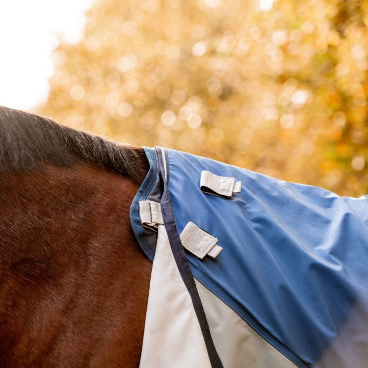 Rambo Autumn Series Turnout Navy/Grijs Dots