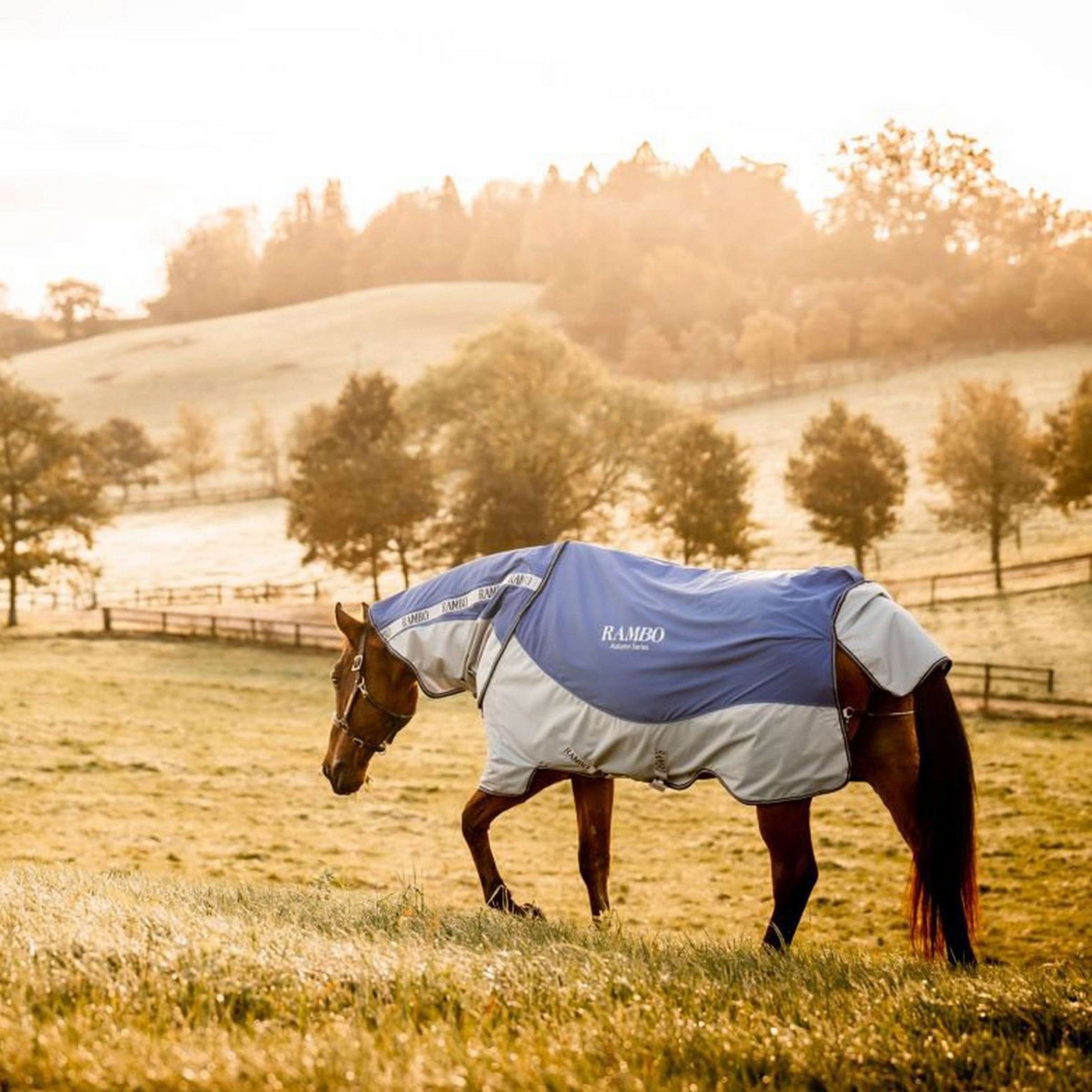 Rambo Autumn Series Turnout Navy/Grijs Dots Rambo Autumn Series Turnout Navy/Grijs Dots