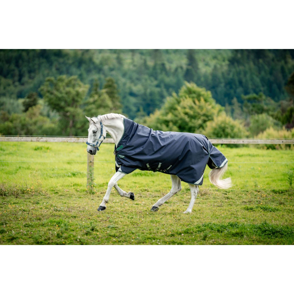 Rambo Wug Turnout 0g Navy/Hunter Green