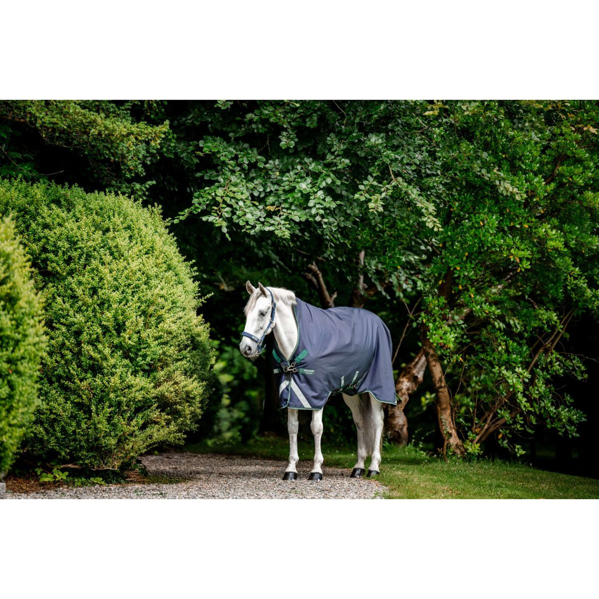 Rambo Wug Turnout 0g Navy/Hunter Green