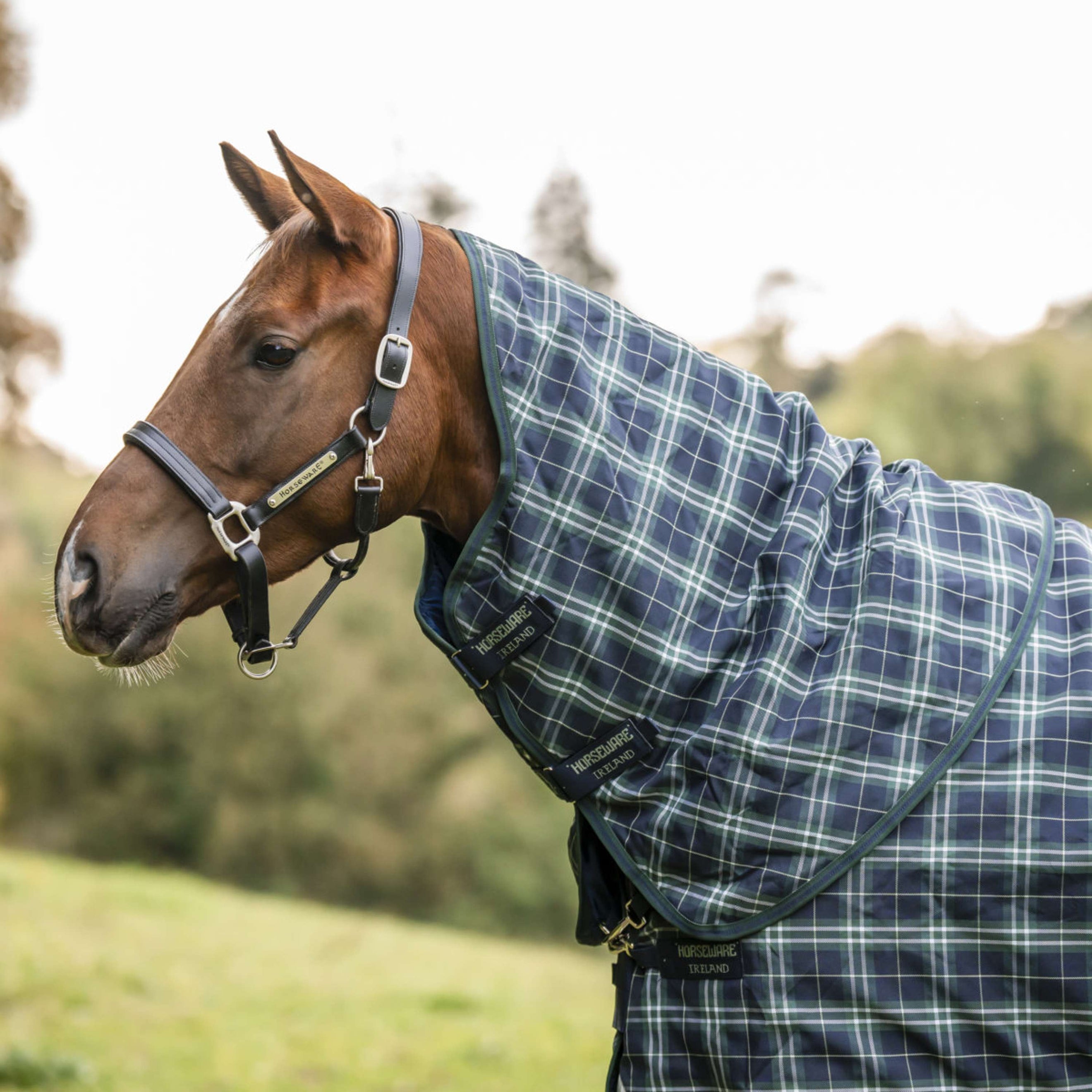 Rhino Halsstuk Turnout 150g Hunter Check/Green/Navy