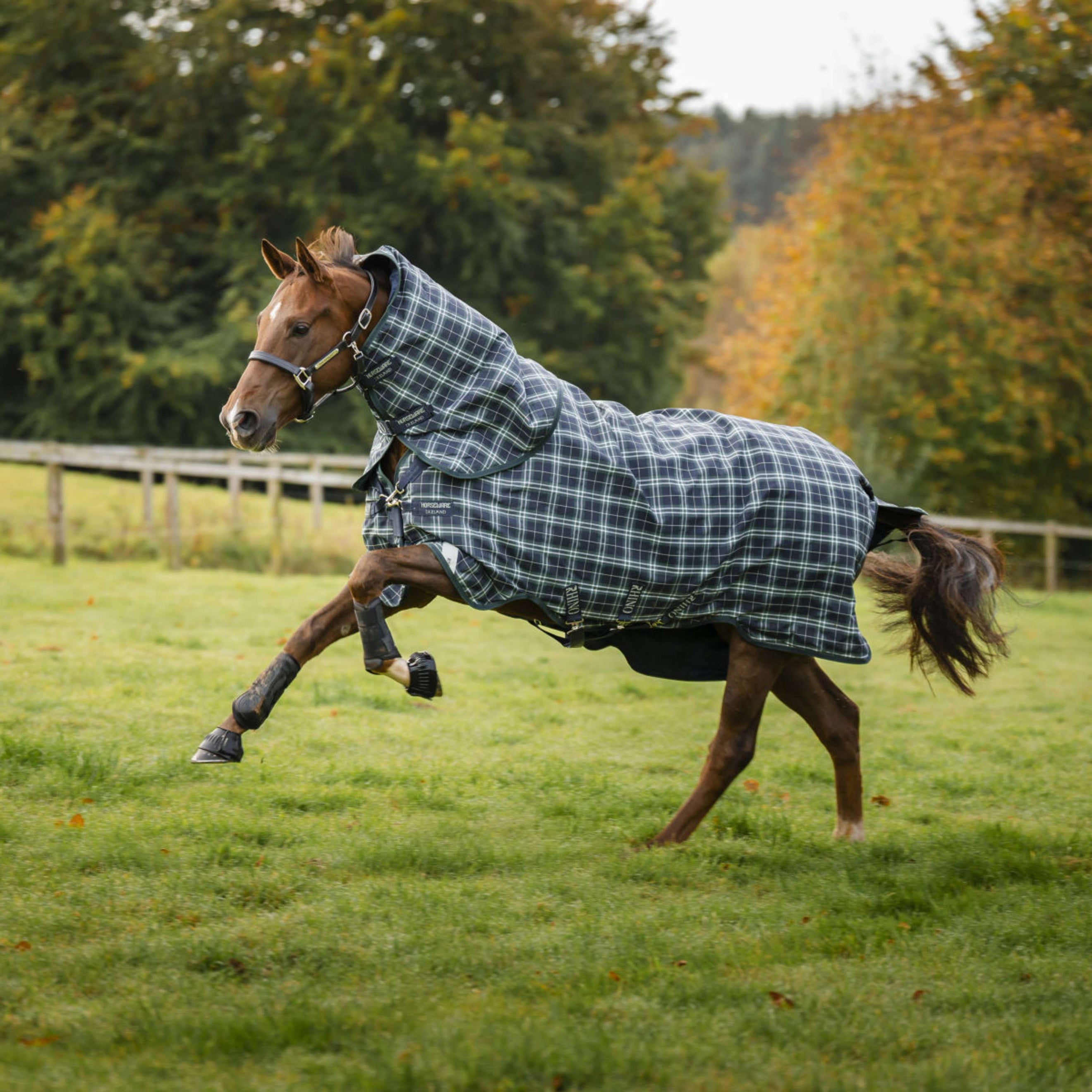 Rhino Turnout Plus 100g Hunter Check/Green/Navy