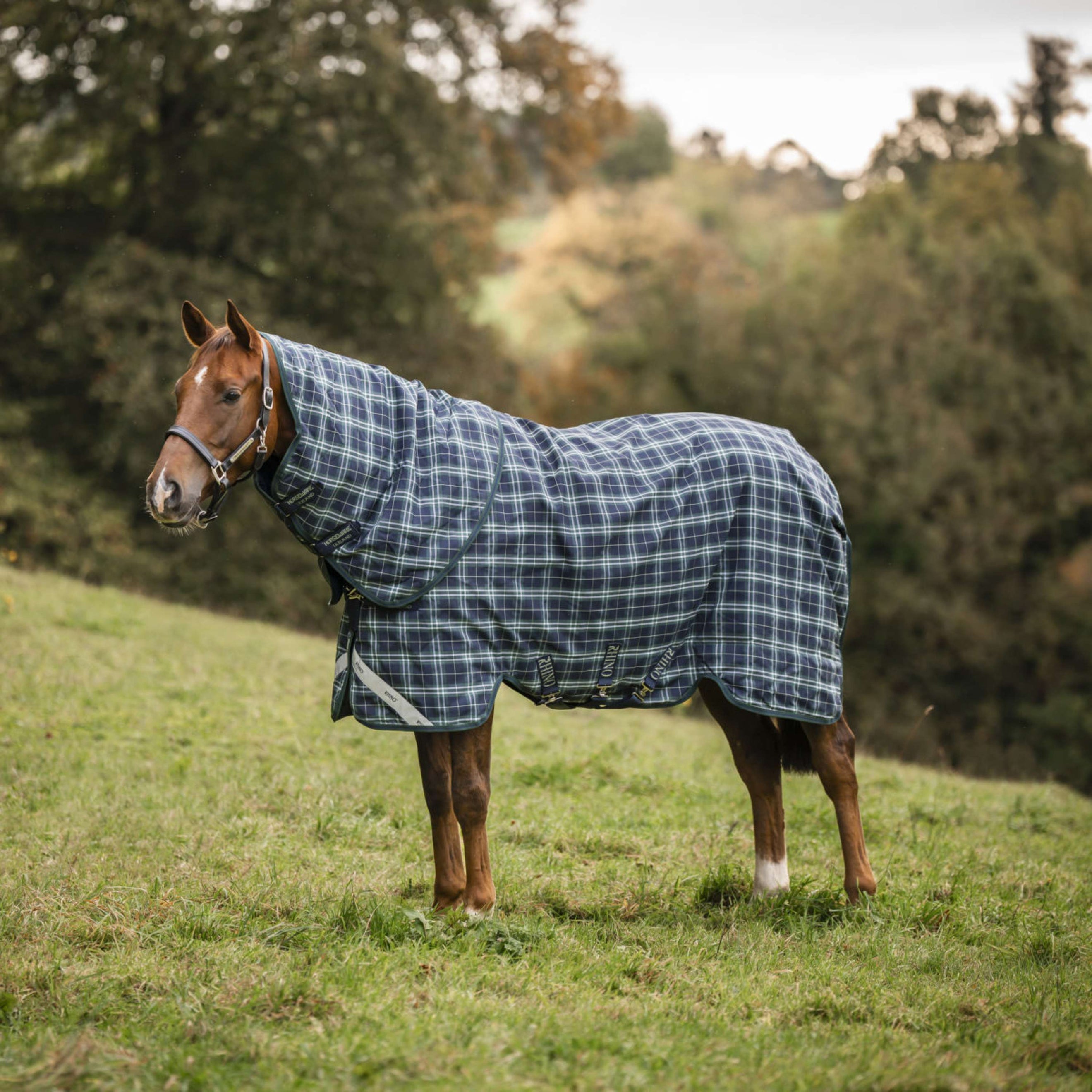 Rhino Turnout Plus 100g Hunter Check/Green/Navy