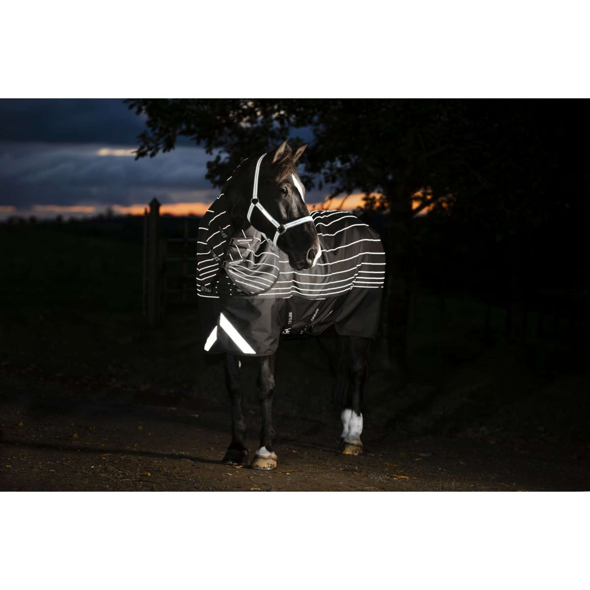 Amigo Turnout Rug FieldSafe Reflectech Plus 1200D 50g Black/Reflective/Black