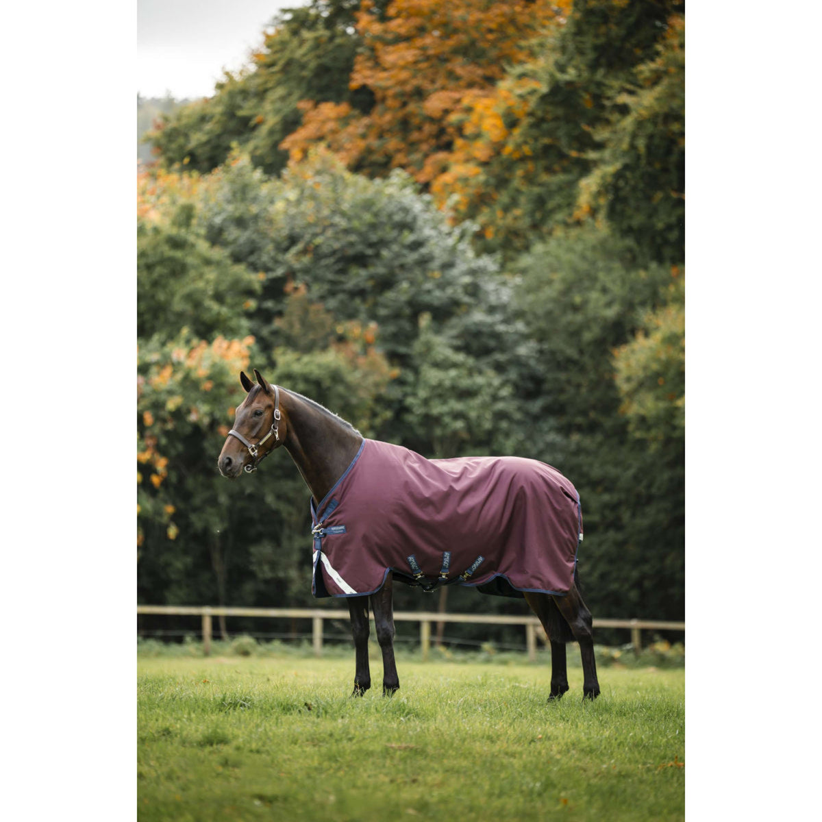 Amigo Turnout 1200D 50g Burgundy/Navy/Titanium Grey