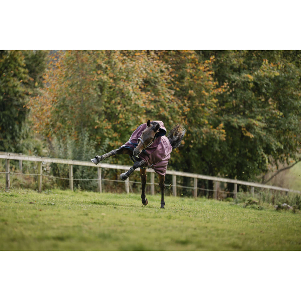 Amigo Turnout Plus 1200D 250g Burgundy/Navy/Titanium Grey