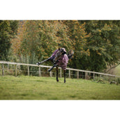 Amigo Turnout Plus 1200D 250g Burgundy/Navy/Titanium Grey