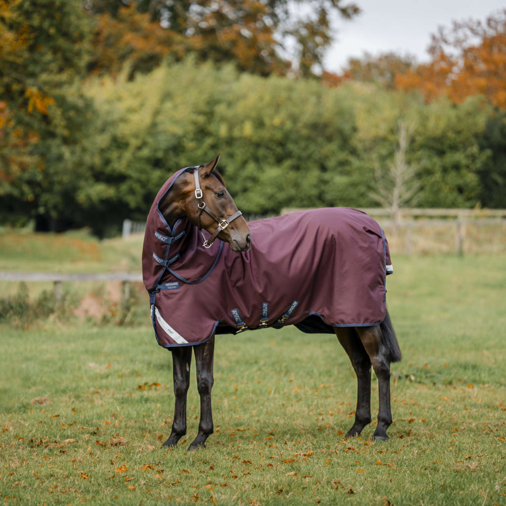 Amigo Turnout Plus 1200D 250g Burgundy/Navy/Titanium Grey