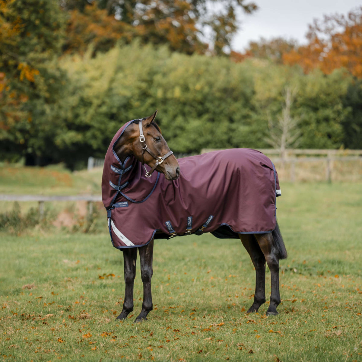 Amigo Turnout Plus 1200D 250g Burgundy/Navy/Titanium Grey