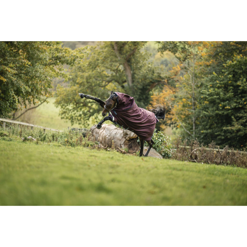 Amigo Turnout Plus 1200D 250g Burgundy/Navy/Titanium Grey