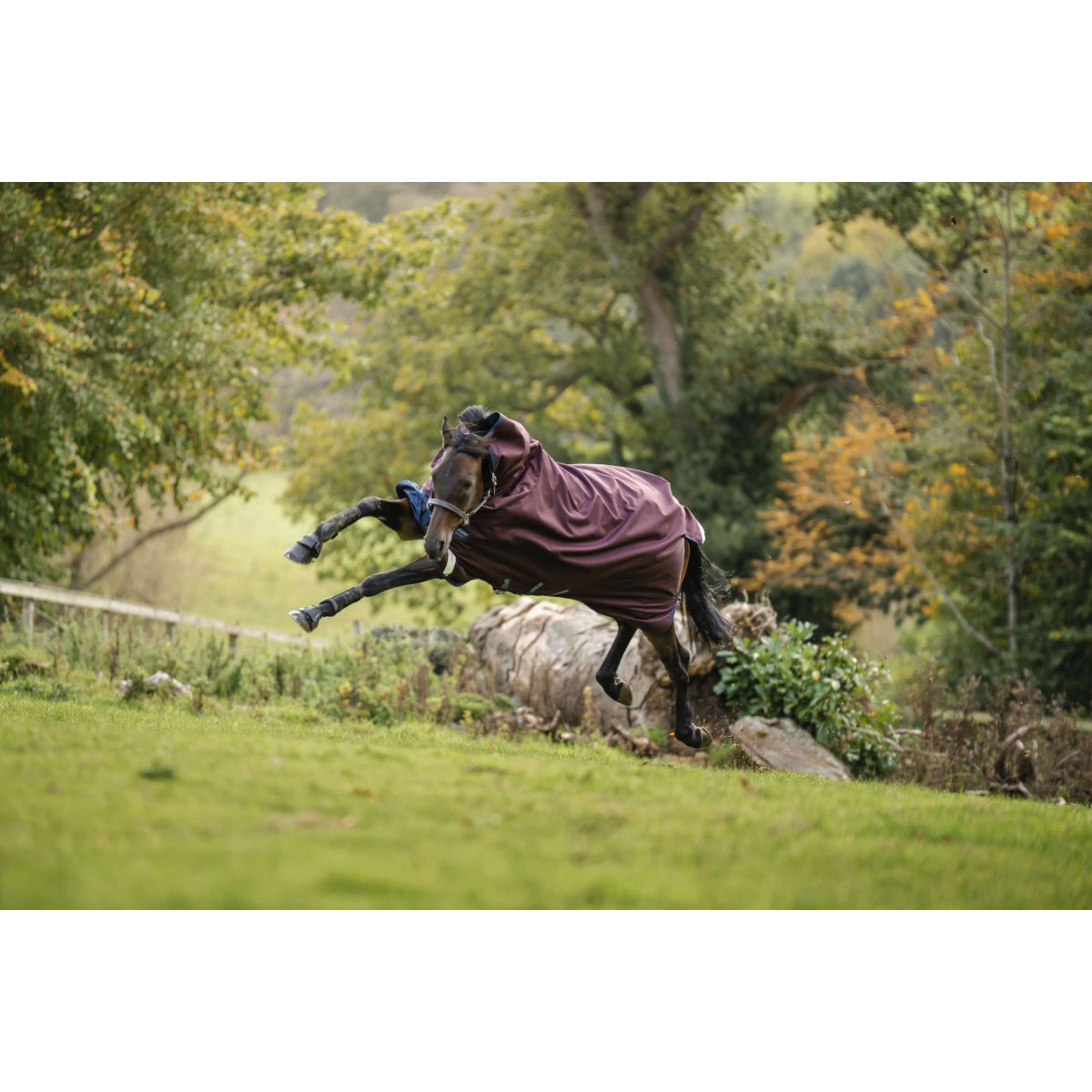 Amigo Turnout Plus 1200D 50g Burgundy/Navy/Titanium Grey