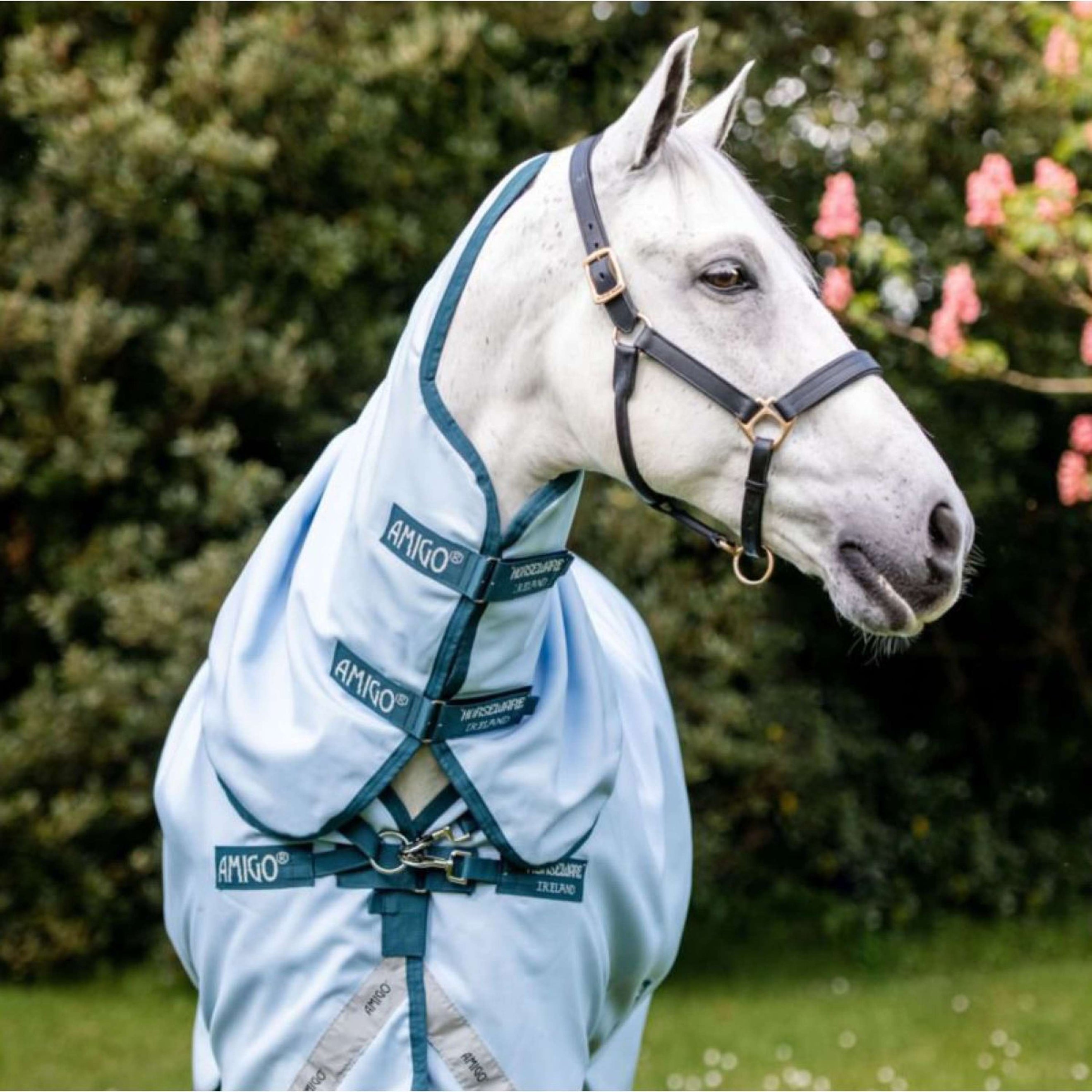 Amigo Plant Dye Turnout Blauw/Navy Amigo Plant Dye Turnout Blauw/Navy