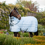 Amigo Stable Plus Plant Dye Blauw/Navy