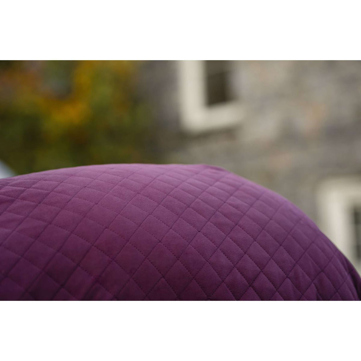 Horseware Travel Cooler Signature Burgundy