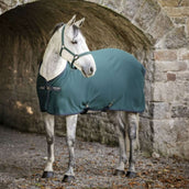 Amigo Jersey Cooler Dynasty Green/Navy/Silver