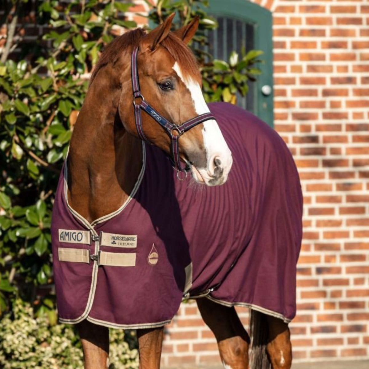 Amigo Staldeken Poly met Kruissingels Fig/Navy/Tan