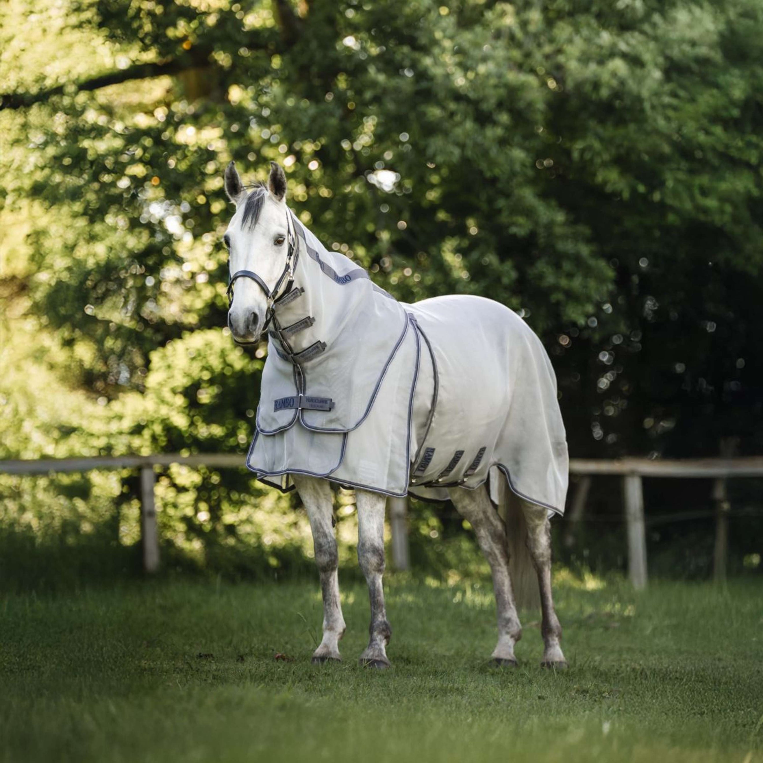 Rambo Optimo Protector Plus Silver/Thunderstorm Grey/Silver Rambo Optimo Protector Plus Silver/Thunderstorm Grey/Silver