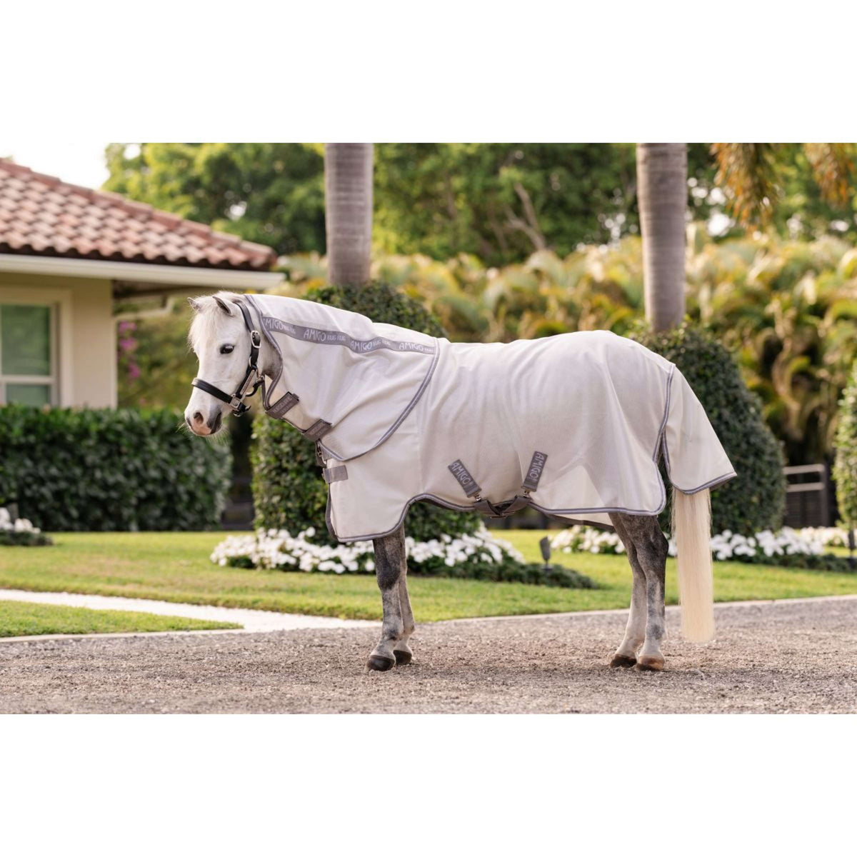 Amigo Bug Rug Plus Pony Silver/Titanium Grey/Silver