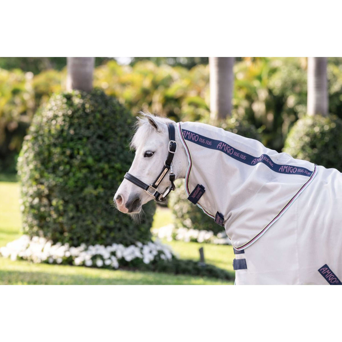 Amigo Bug Rug Plus Pony Silver/Lime/Navy/Pink/Blue