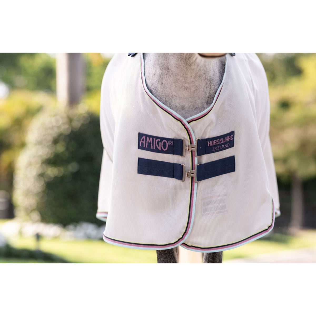 Amigo Bug Rug Pony Silver/Lime/Navy/Pink/Blue