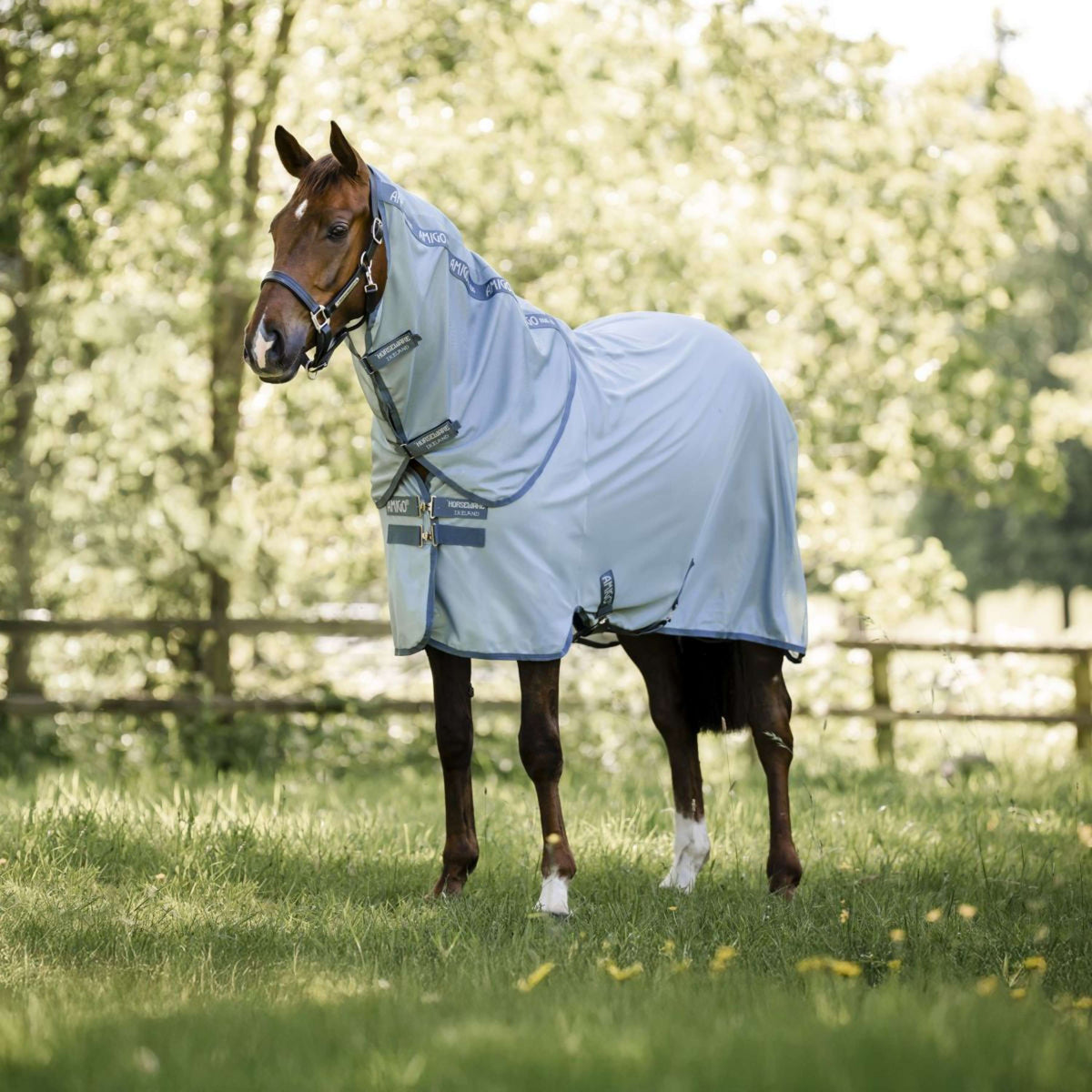 Amigo Halsstuk Bug Rug Heather Blue/Blue/Silver