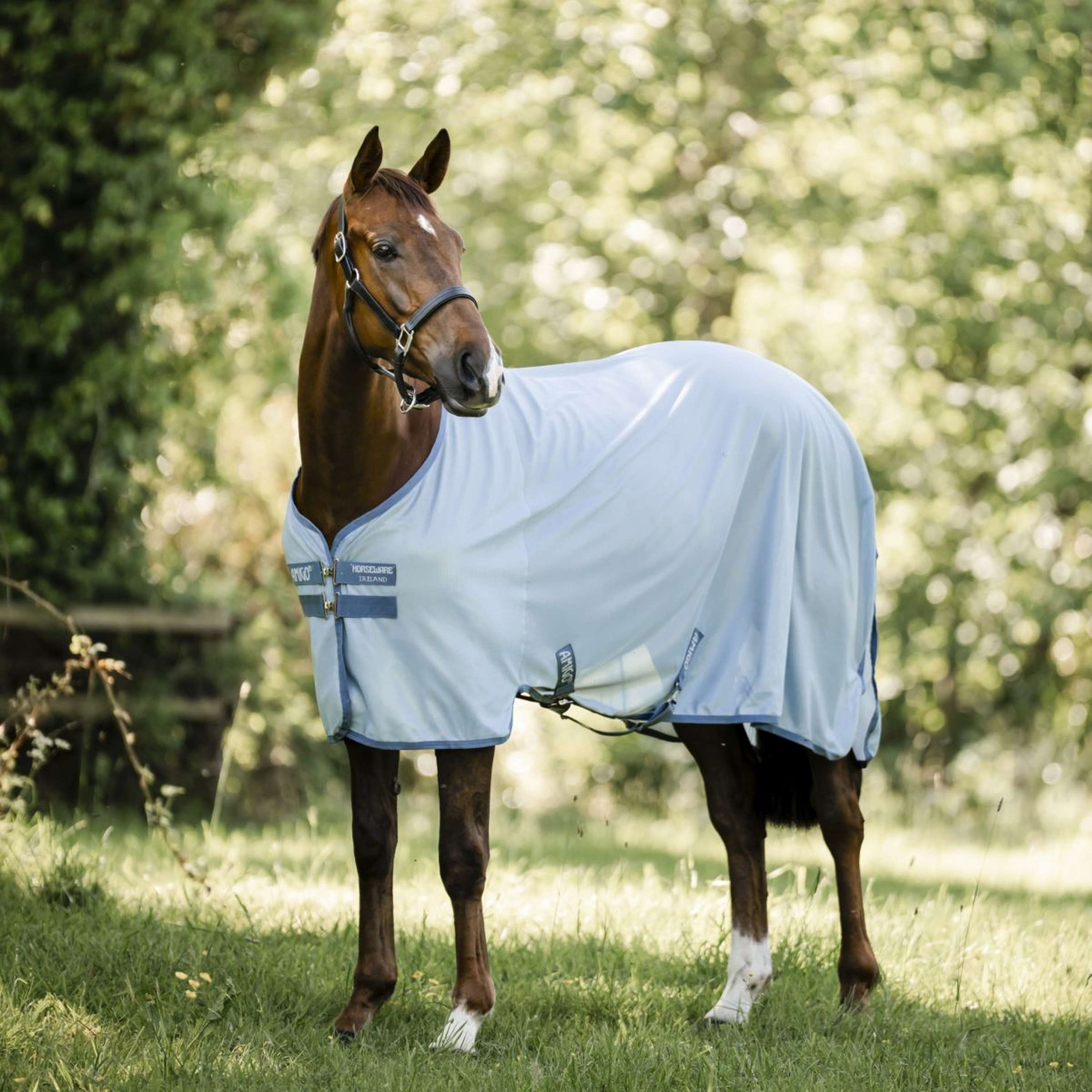 Amigo Bug Rug Heather Blue/Blue/Silver