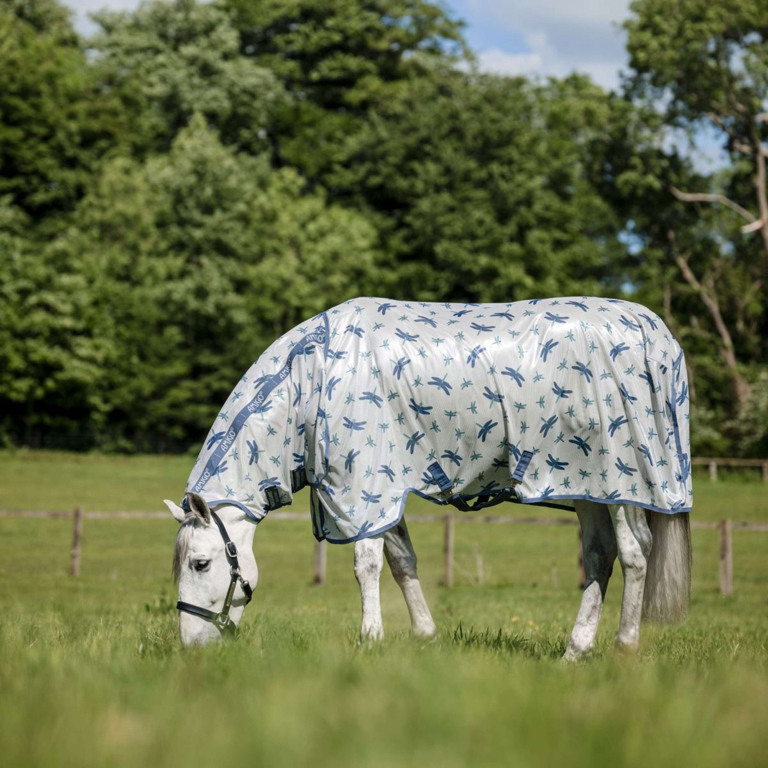 Amigo Vliegendeken Integrated Dragonfly Print/Silver/Blue/Sage Amigo Vliegendeken Integrated Dragonfly Print/Silver/Blue/Sage