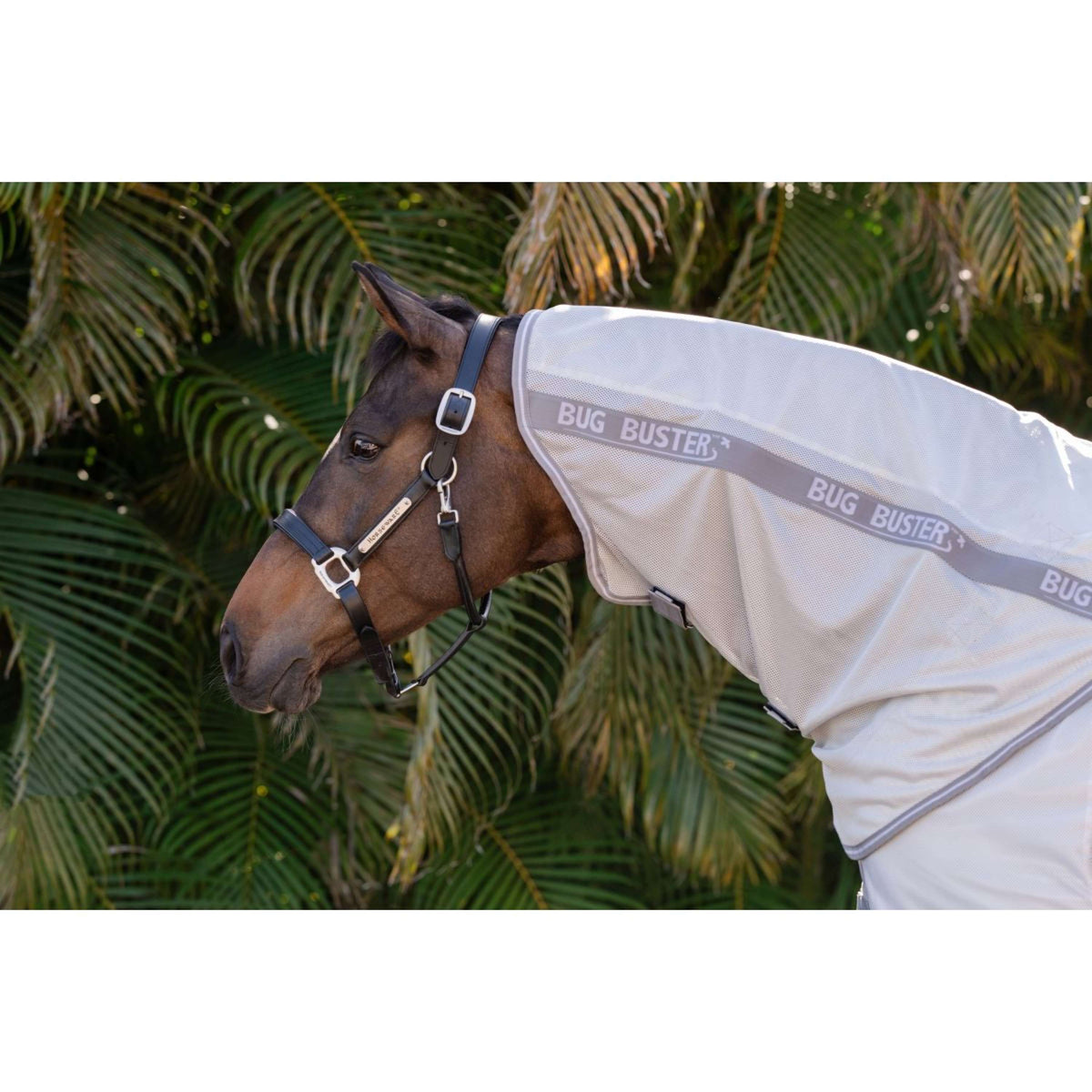 Amigo Halsstuk Bug Buster Silver/Titanium Grey/Silver