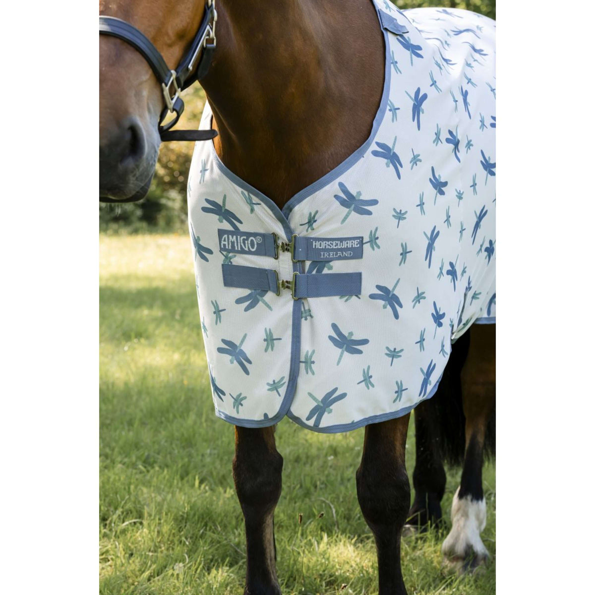 Amigo Bug Rug XL Plus Dragonfly Print/Silver/Blue/Sage