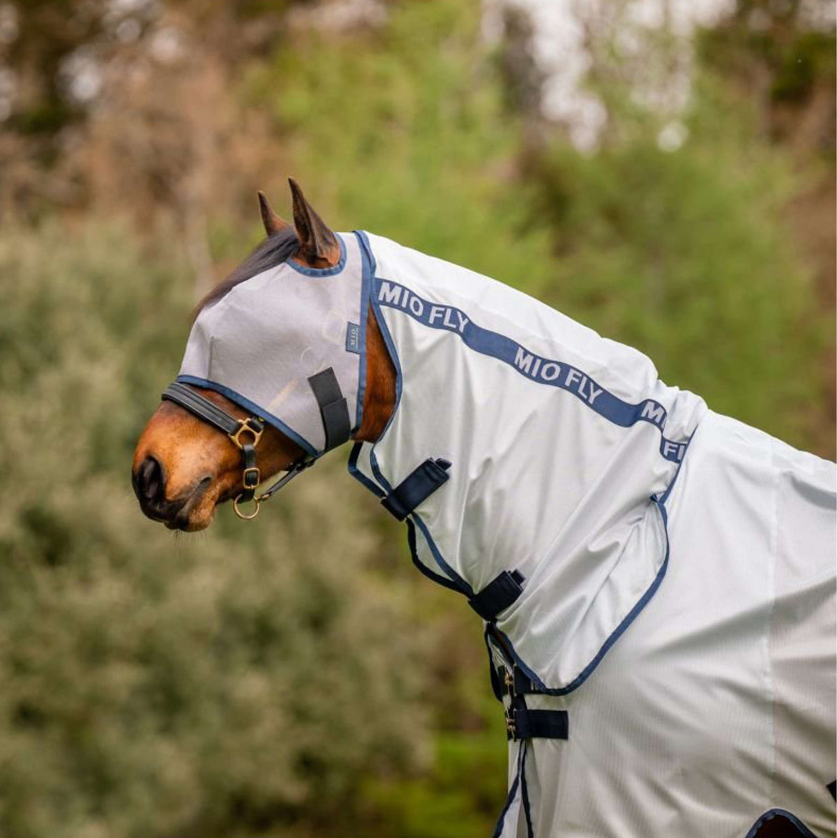 Mio Fly Rug Lunar Rock/Navy