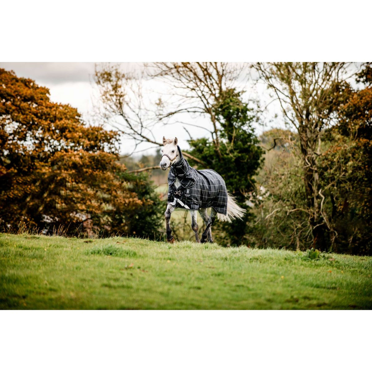 Rhino Turnout Plus Pony Bundle 0g + 200g Black Check/Black/White