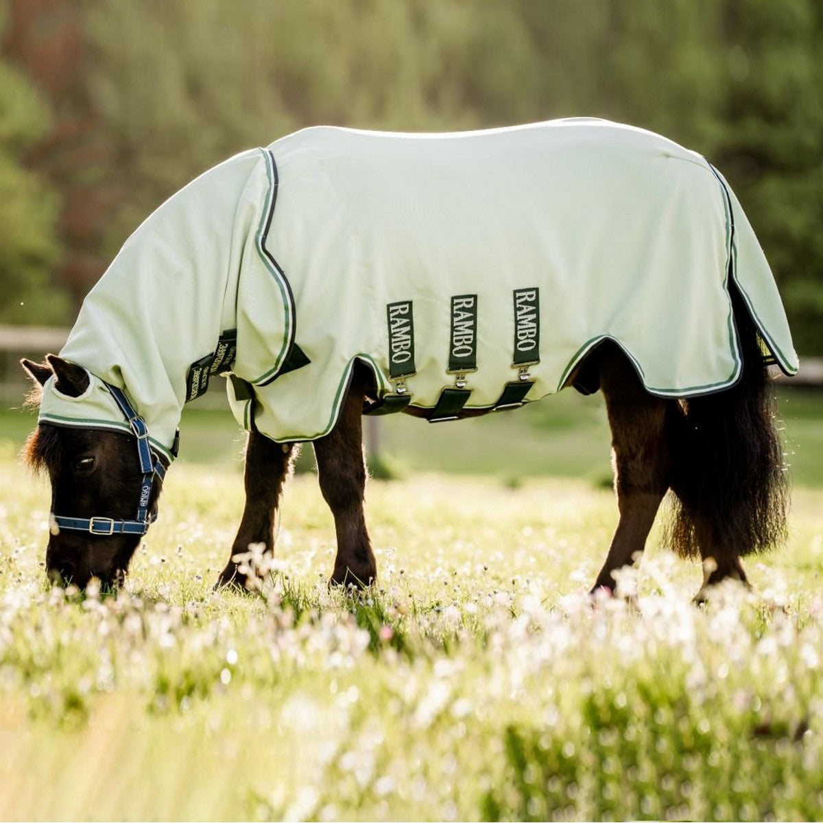 Rambo Hoody Petite Groen/Sage